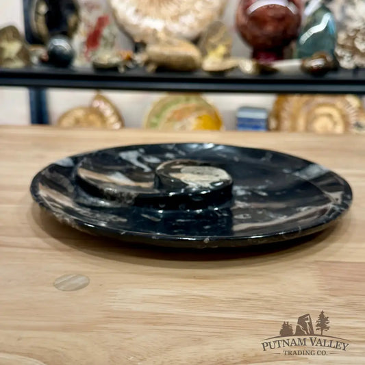 Orthoceras & Ammonite Fossil Serving Plate 10’’ 4 - Fossil Plates