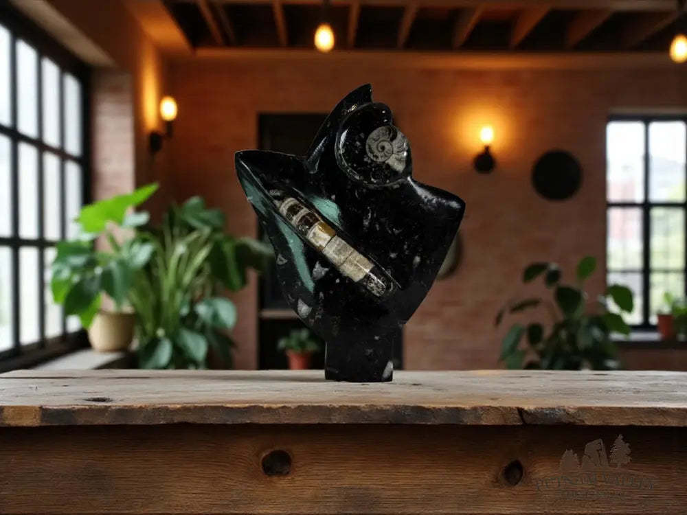 Orthoceras & Ammonite Fossil Table Accent Fossil Sculpture