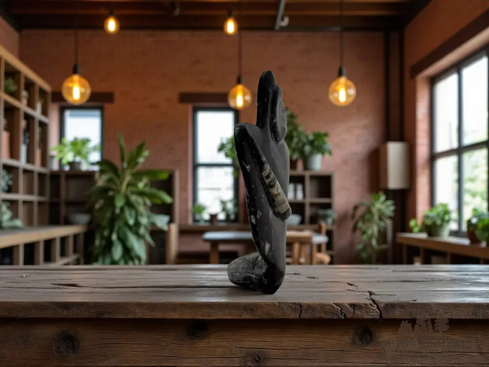 Orthoceras & Ammonite Fossil Table Accent Fossil Sculpture