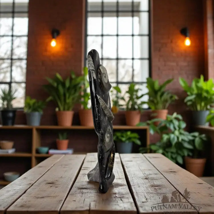 Orthoceras & Ammonite Table Accent Fossil Slab