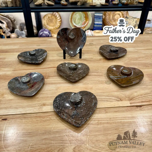 Orthoceras & Ammonite Heart Dish 4.5’’ - Fossil Plate