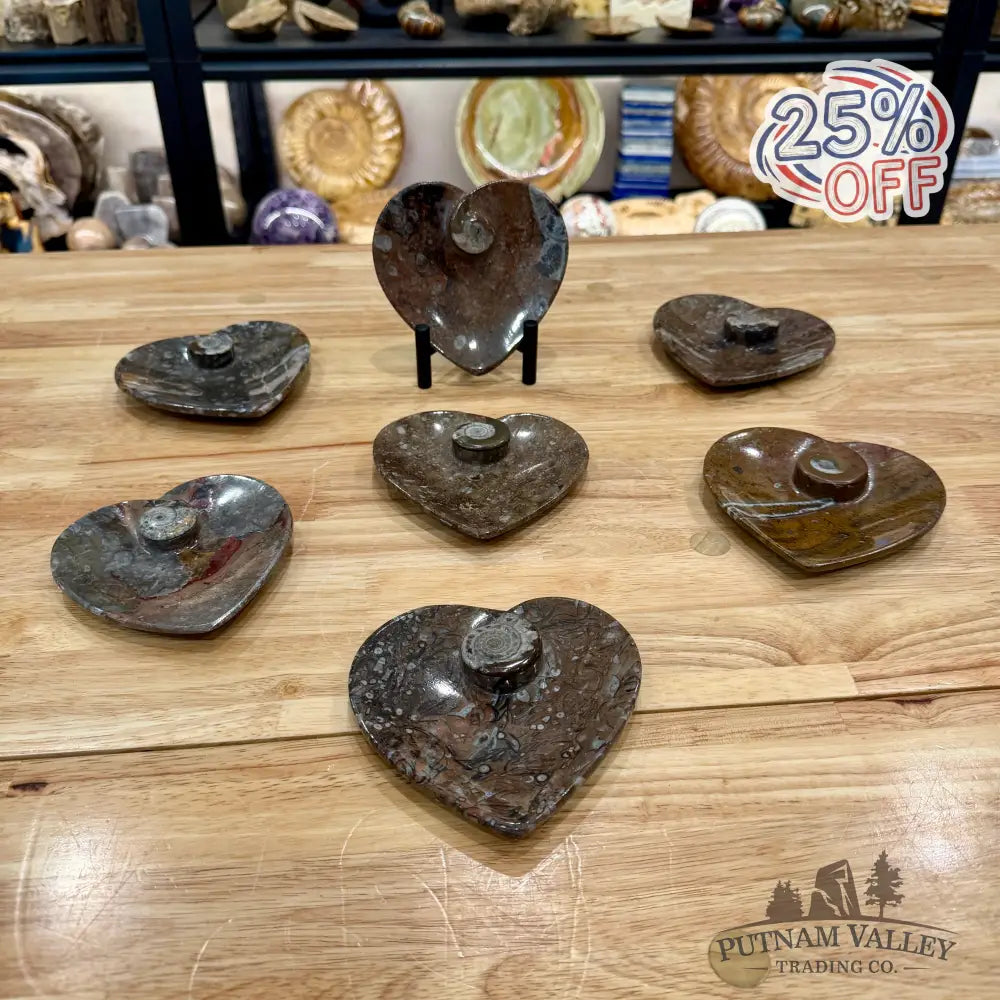 Orthoceras & Ammonite Heart Dish 4.5’’ - Fossil Plate