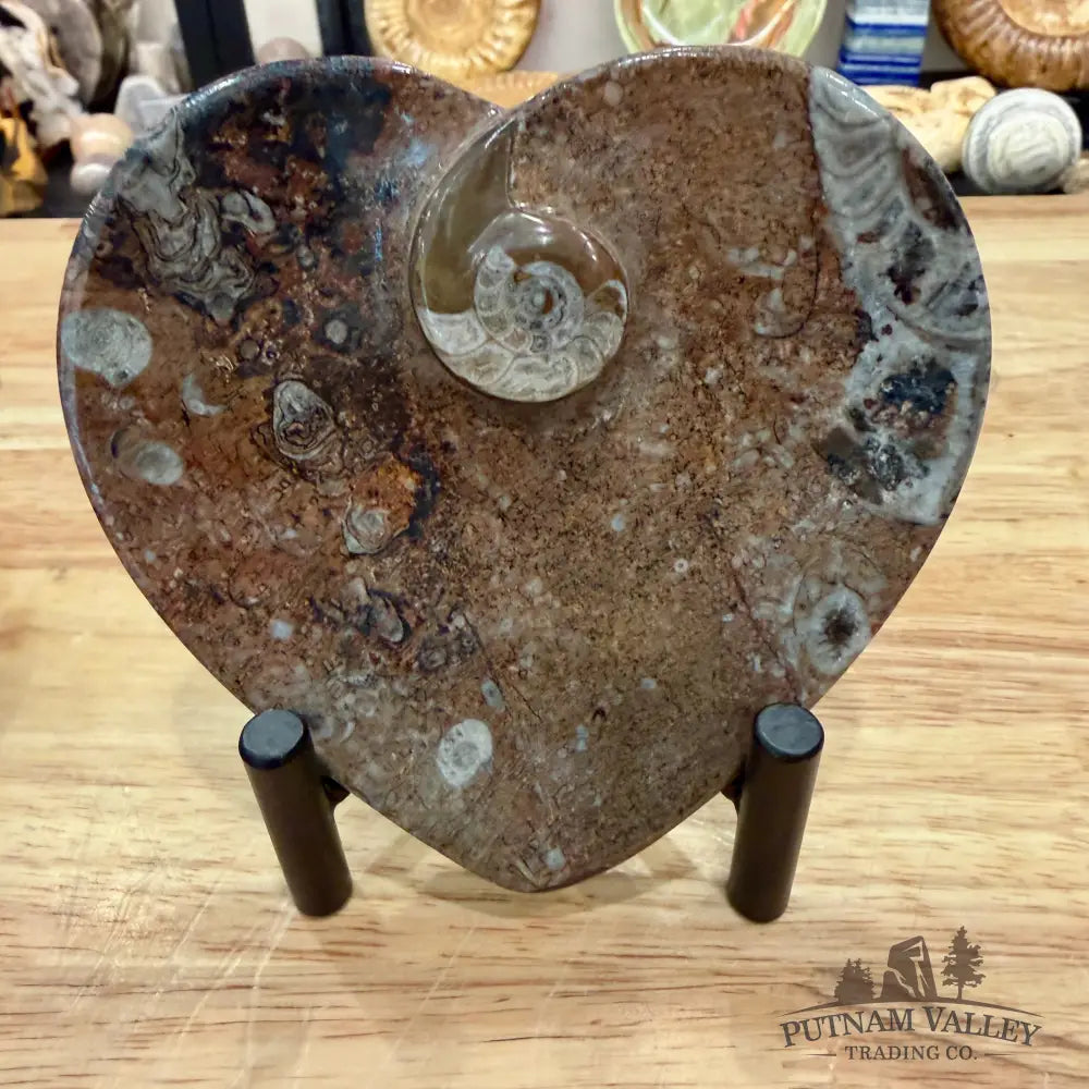 Orthoceras & Ammonite Heart Dish 4.5’’ - Fossil Plate