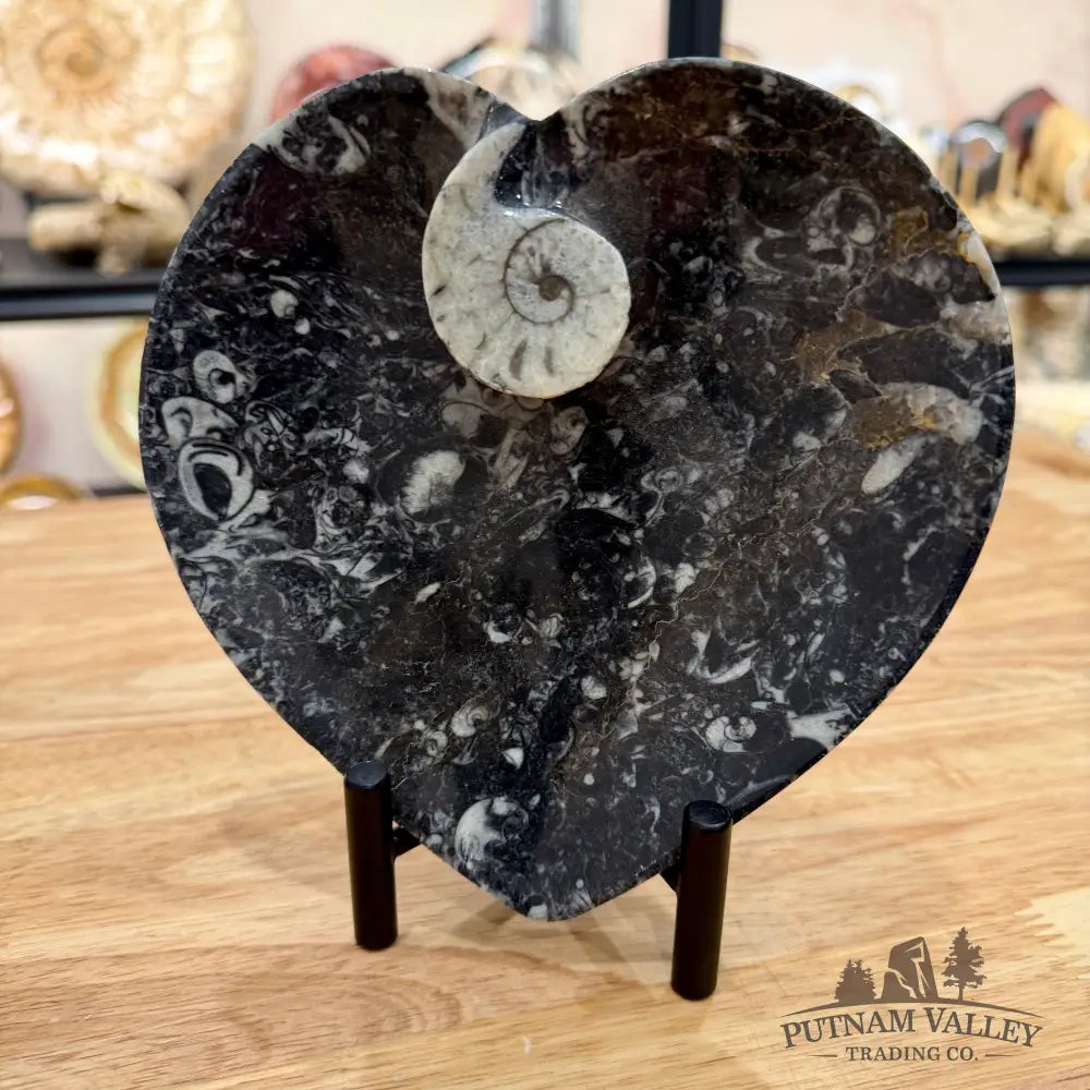 Orthoceras & Ammonite Heart Dish 6.5’’ - Fossil Plate