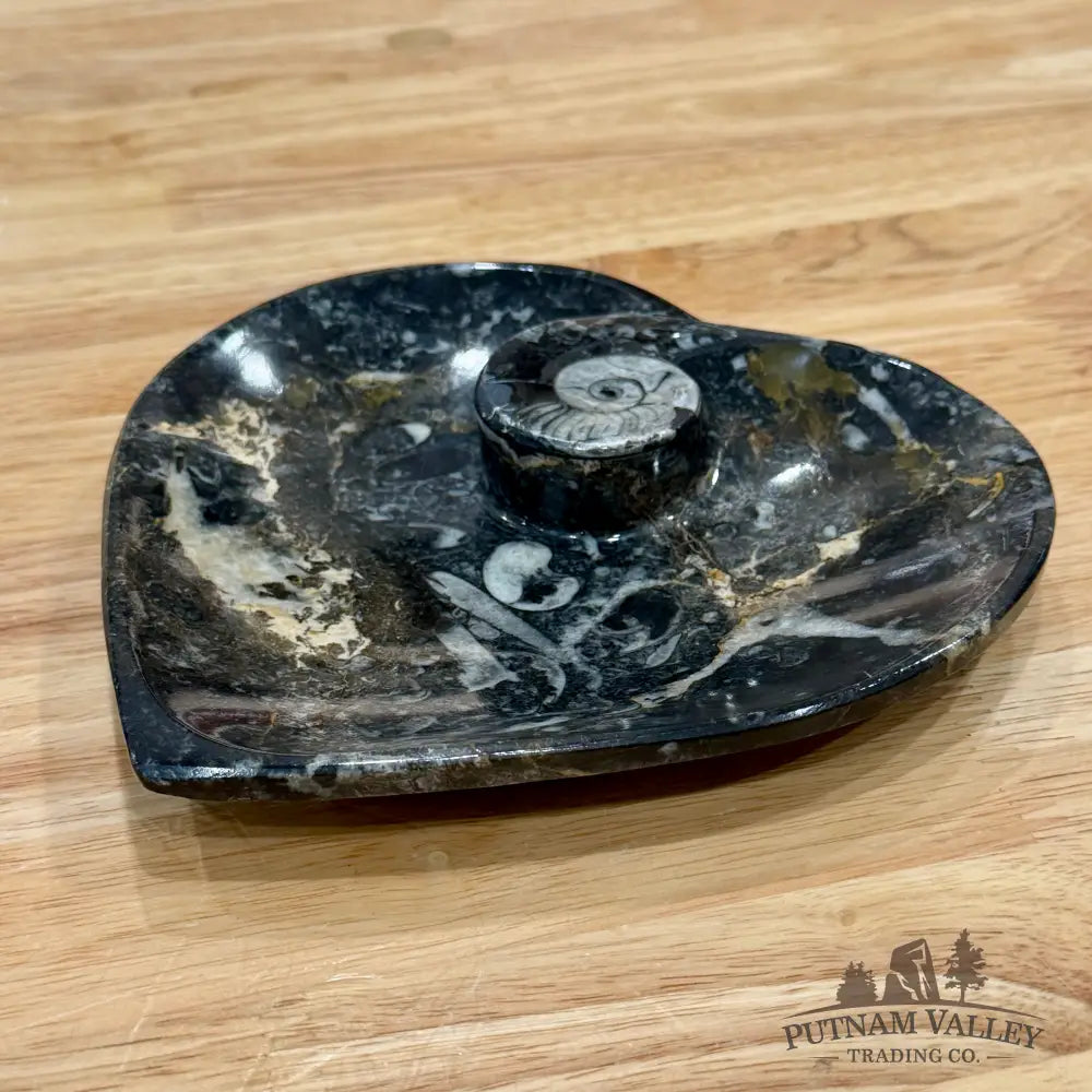 Orthoceras & Ammonite Heart Dish 6.5’’ - Fossil Plate