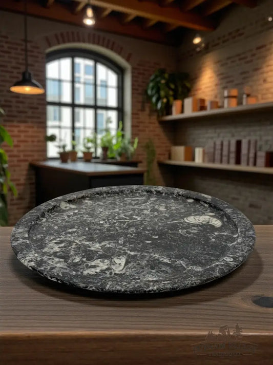 Orthoceras & Ammonite Serving Platter Fossil Plates