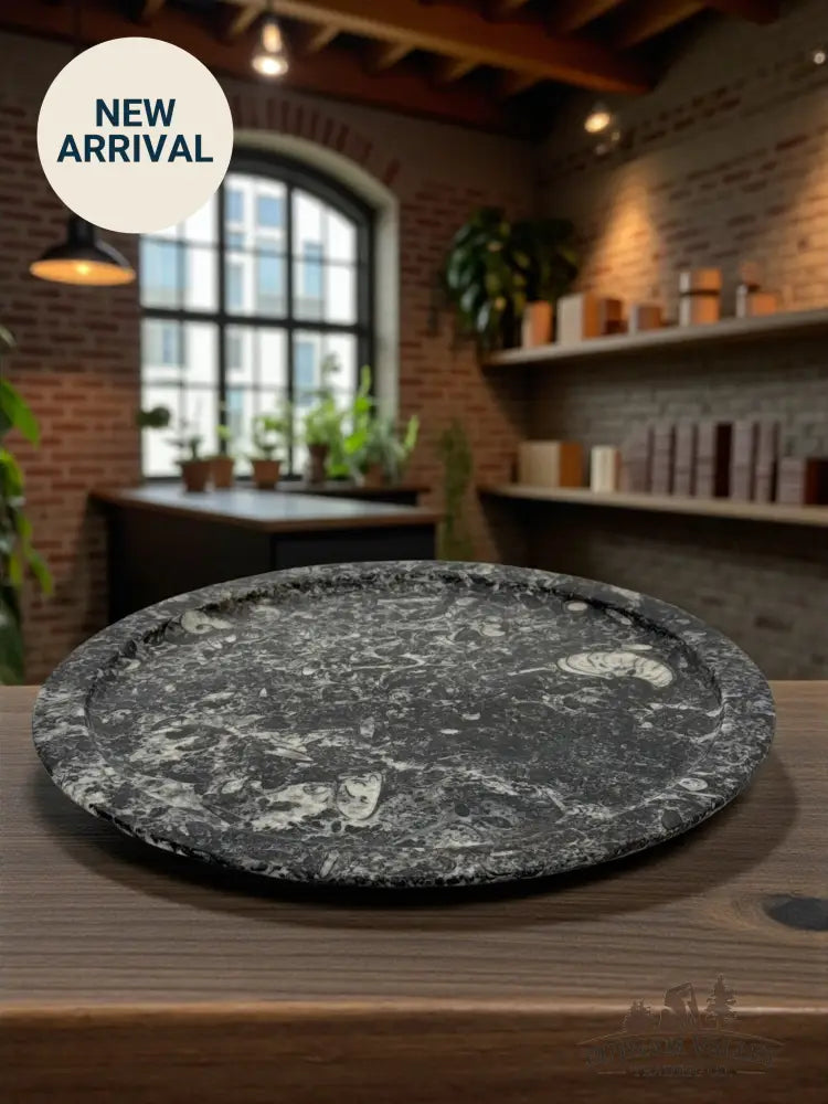 Orthoceras & Ammonite Serving Platter Fossil Plates