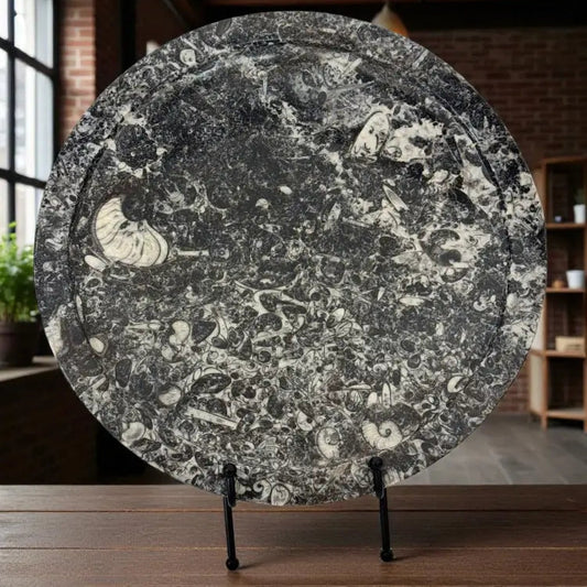 Orthoceras & Ammonite Serving Platter Fossil Plates