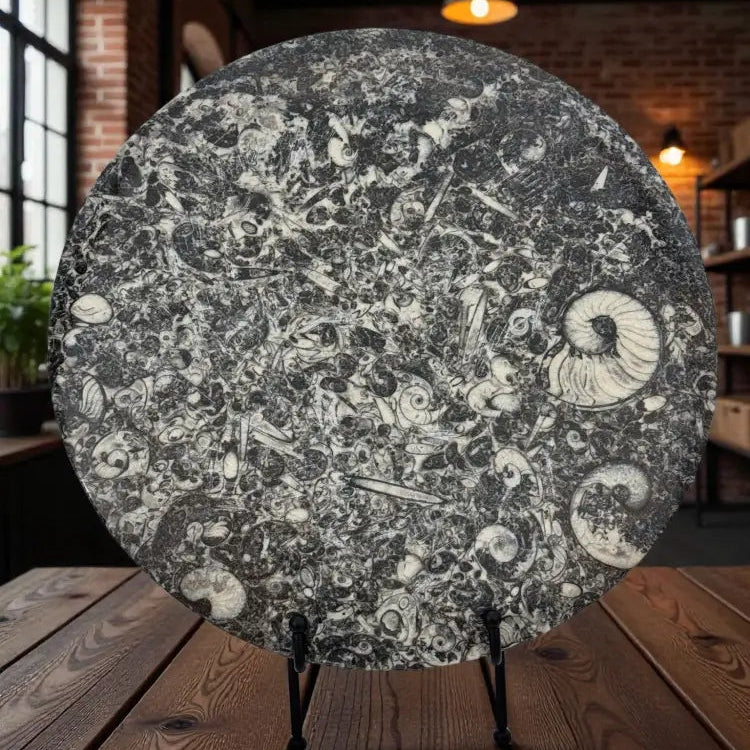 Orthoceras & Ammonite Serving Platter Fossil Plates