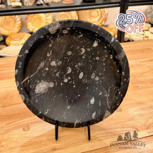 Orthoceras Fossil Bowl 10’’