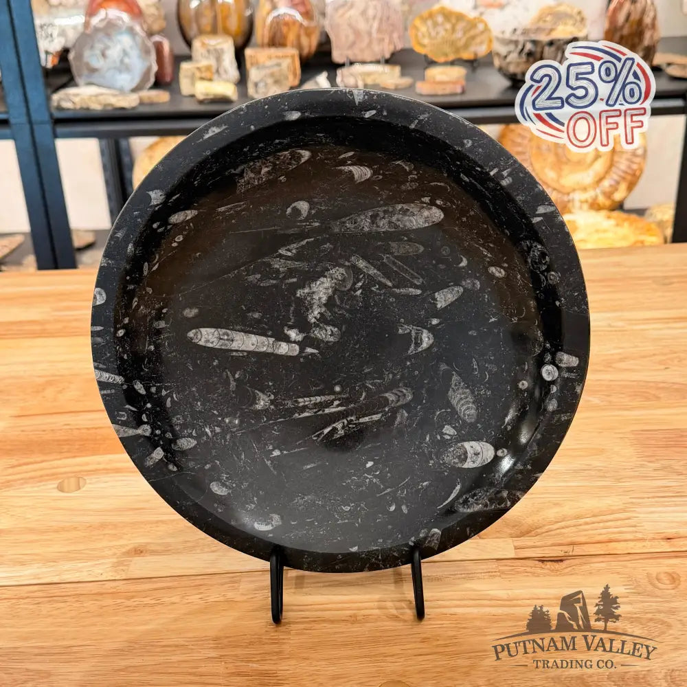 Orthoceras Fossil Bowl 10’’
