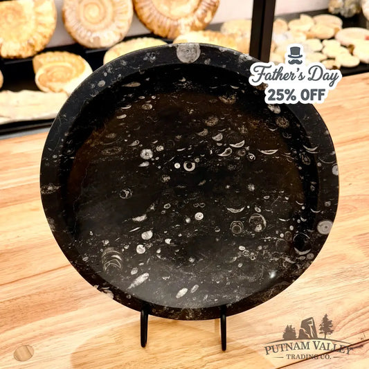 Orthoceras Fossil Bowl 10’’