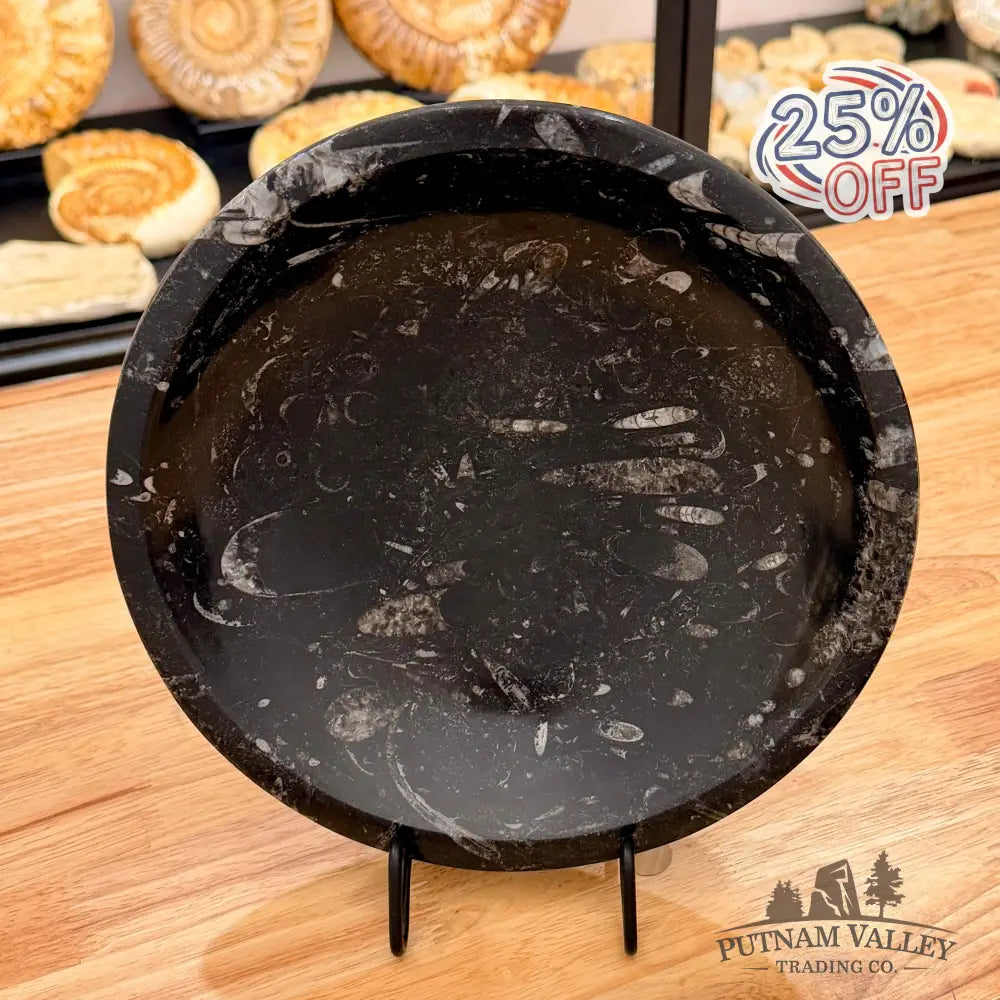 Orthoceras Fossil Bowl 10’’