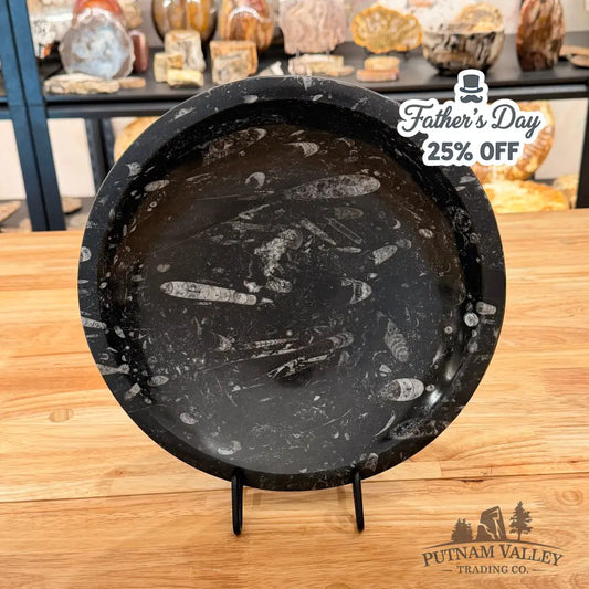 Orthoceras Fossil Bowl 10’’