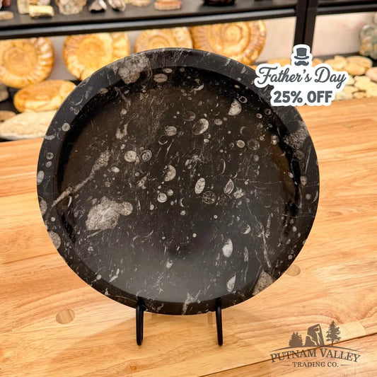 Orthoceras Fossil Bowl 10’’