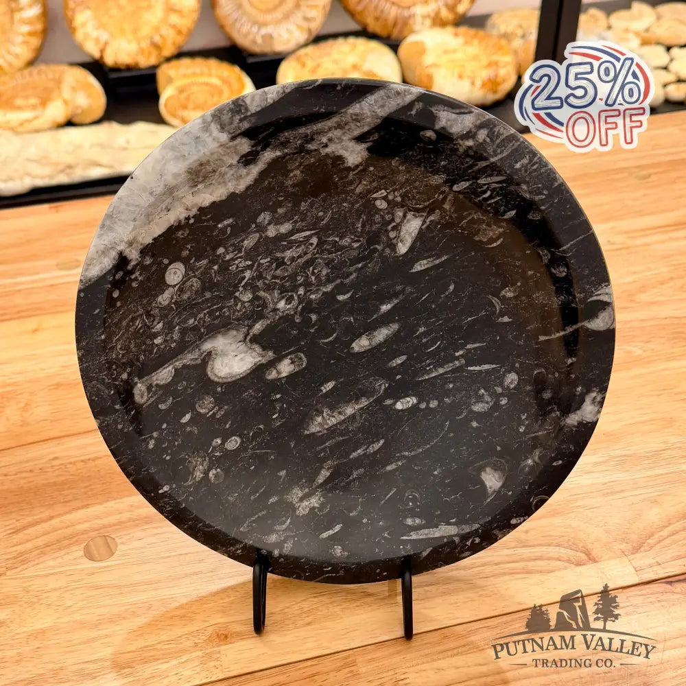 Orthoceras Fossil Bowl 10’’