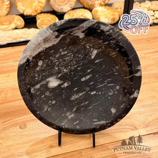 Orthoceras Fossil Bowl 10’’