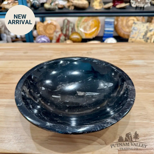 Orthoceras Fossil Bowl 10’’ | Morocco - Fossil Bowl