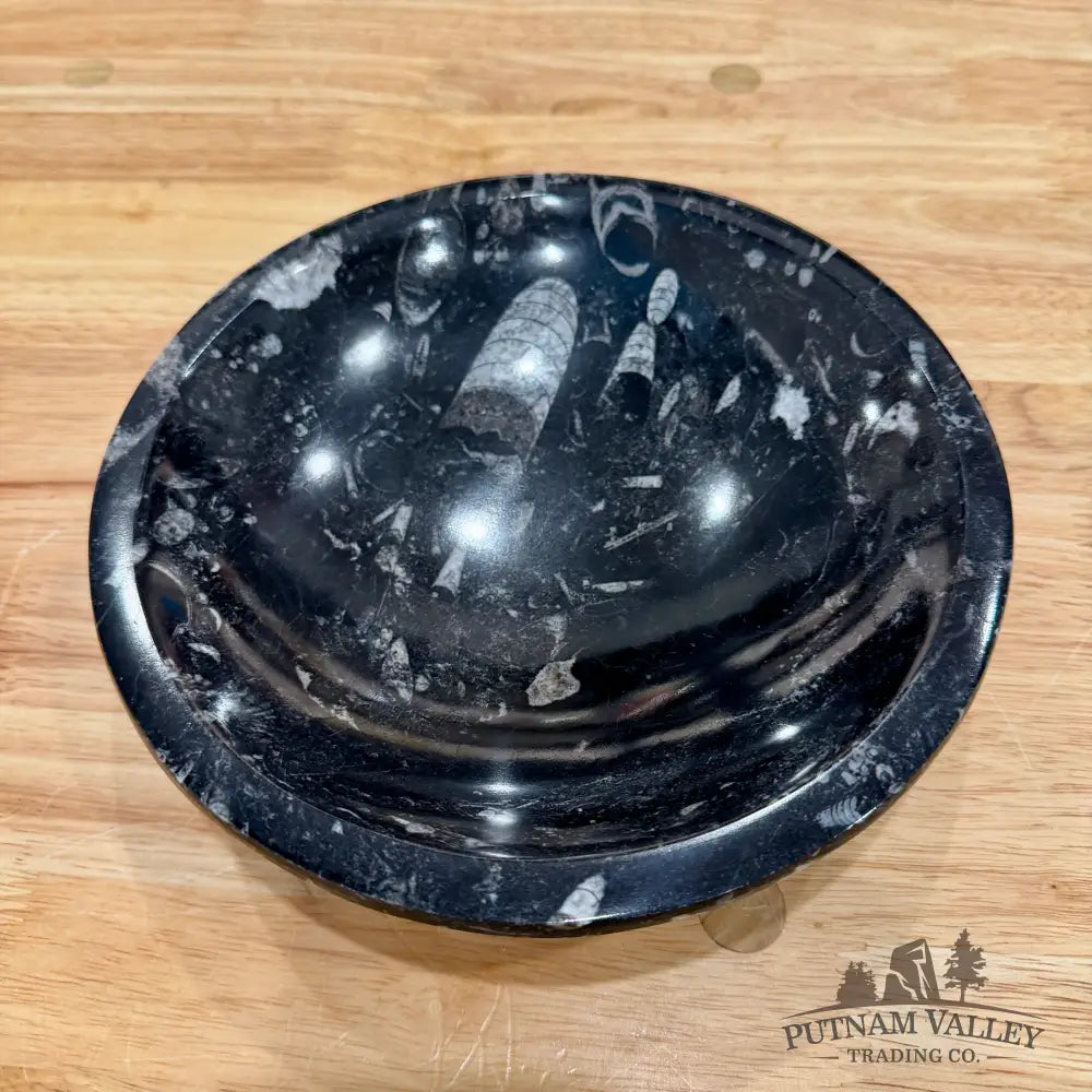 Orthoceras Fossil Bowl 8’’ - Fossil Bowl