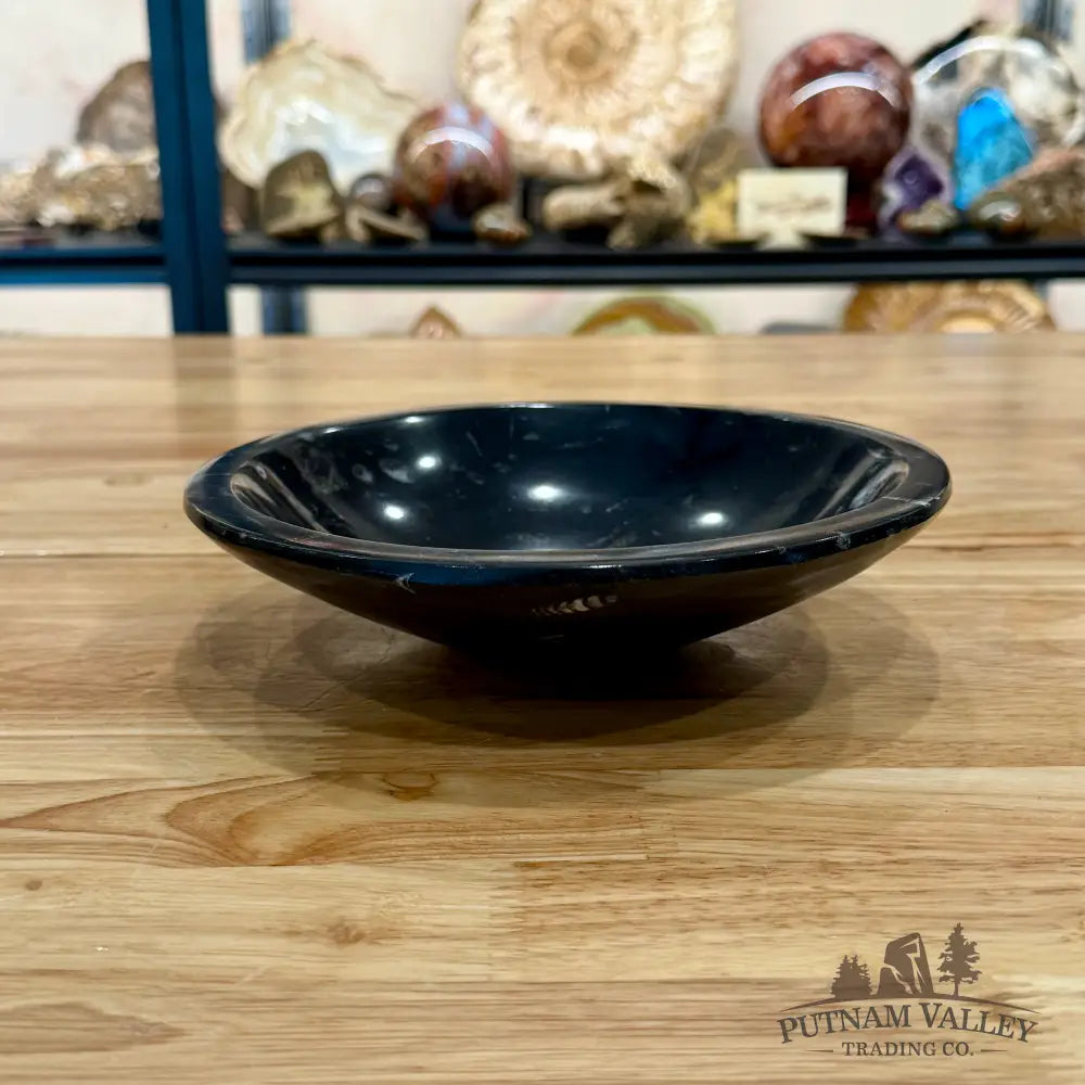 Orthoceras Fossil Bowl 8’’ - Fossil Bowl