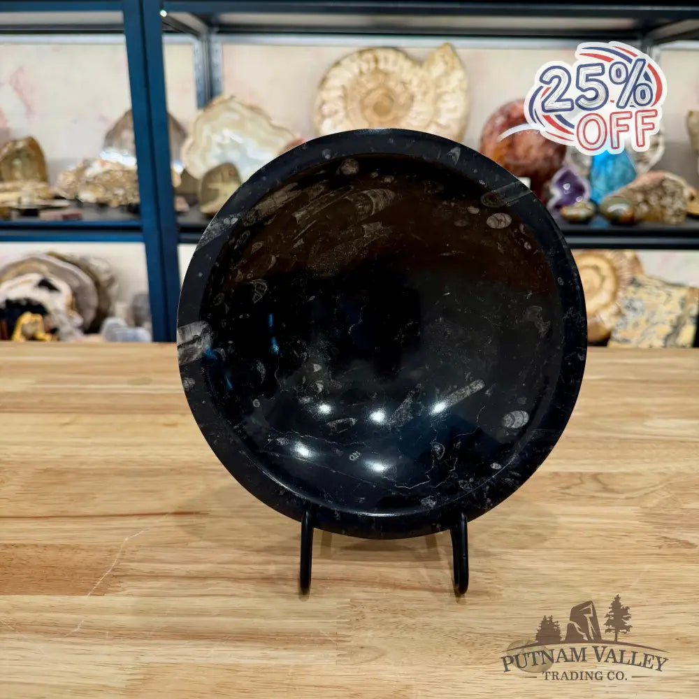 Orthoceras Fossil Bowl 8’’ - Fossil Bowl