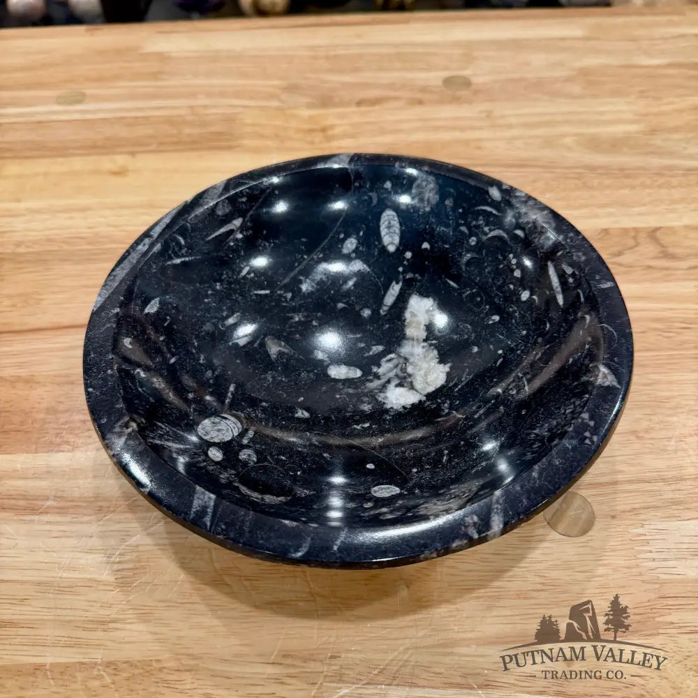 Orthoceras Fossil Bowl 8’’ - Fossil Bowl