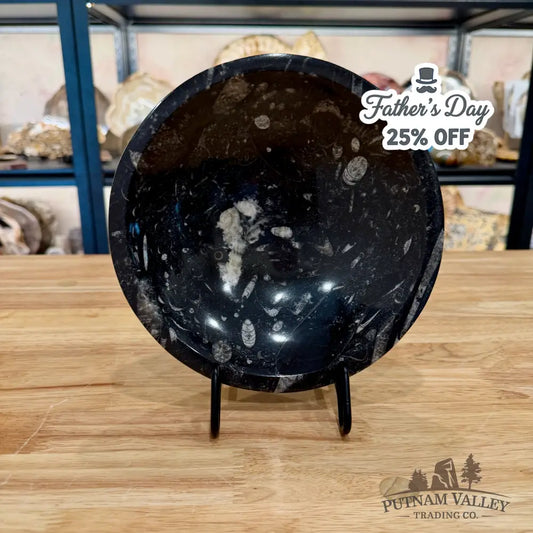 Orthoceras Fossil Bowl 8’’ - Fossil Bowl