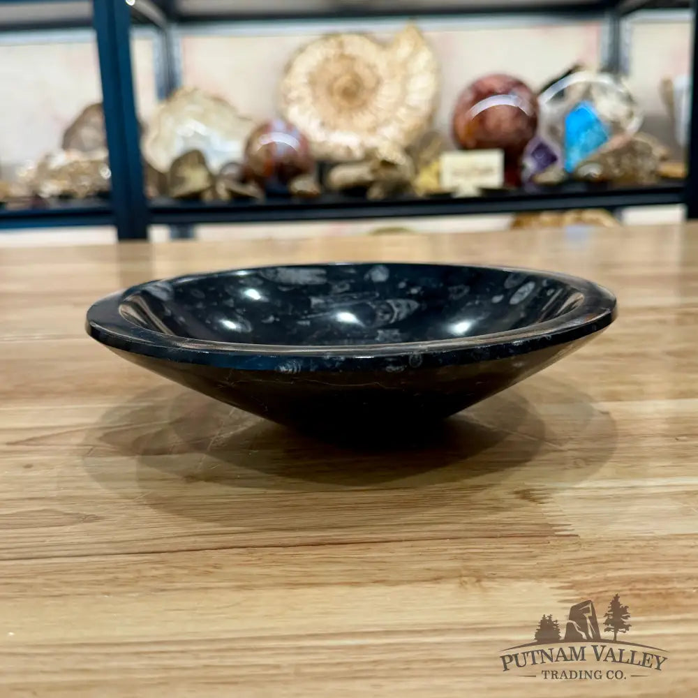 Orthoceras Fossil Bowl 8’’ - Fossil Bowl