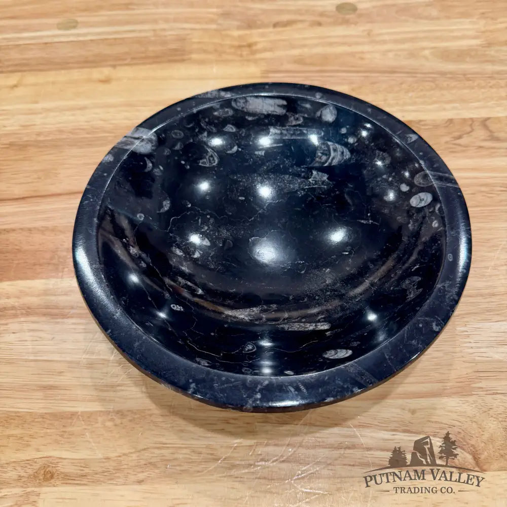 Orthoceras Fossil Bowl 8’’ - Fossil Bowl