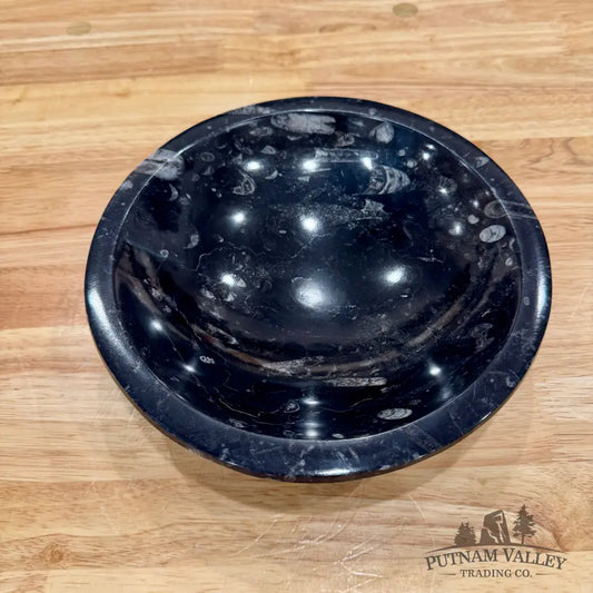 Orthoceras Fossil Bowl 8’’ - Fossil Bowl