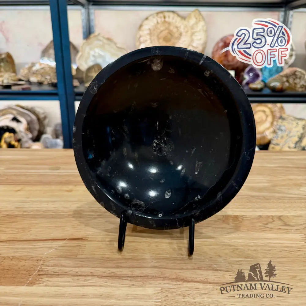 Orthoceras Fossil Bowl 8’’ - Fossil Bowl