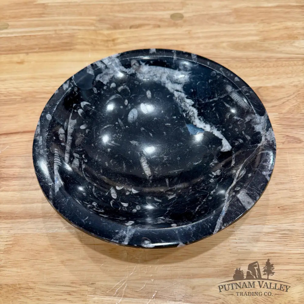 Orthoceras Fossil Bowl 8’’ - Fossil Bowl
