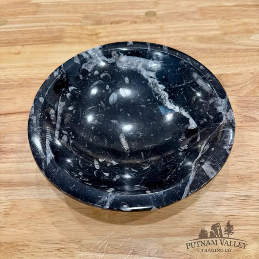 Orthoceras Fossil Bowl 8’’ - Fossil Bowl