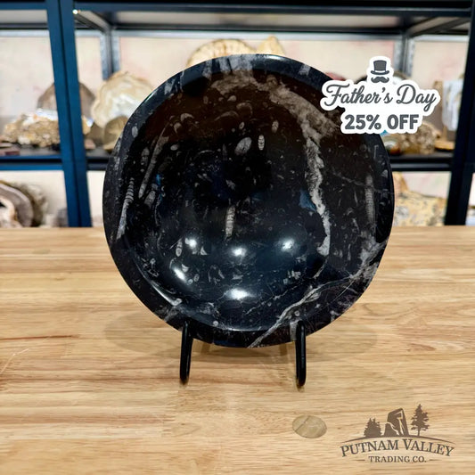 Orthoceras Fossil Bowl 8’’ - Fossil Bowl