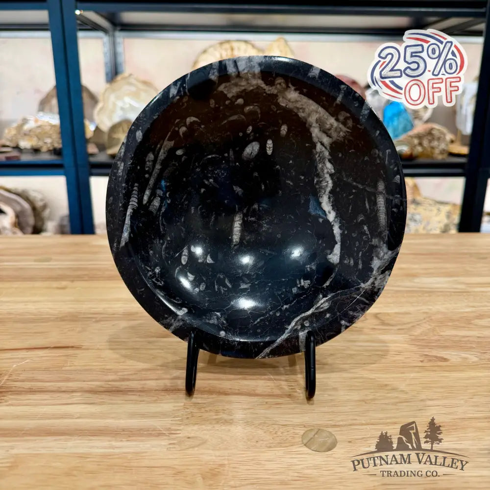 Orthoceras Fossil Bowl 8’’ - Fossil Bowl