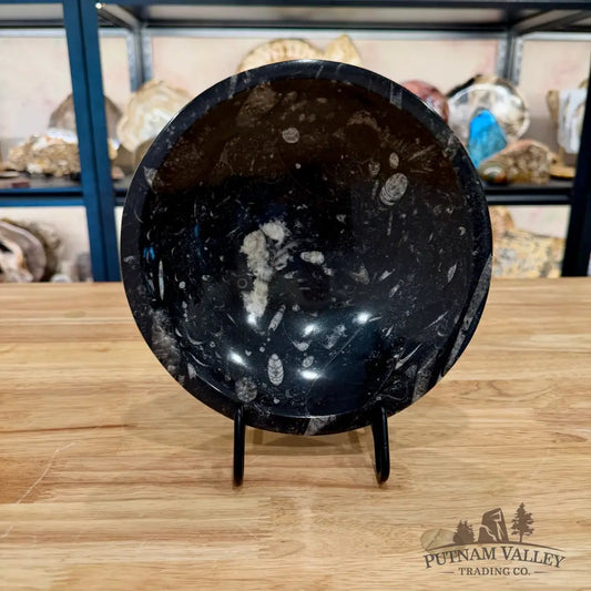 Orthoceras Fossil Bowl 8’’ - Fossil Bowl