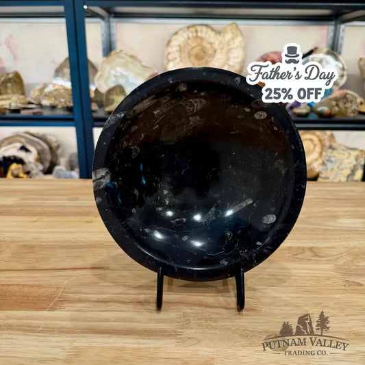 Orthoceras Fossil Bowl 8’’ - Fossil Bowl