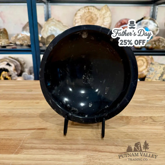 Orthoceras Fossil Bowl 8’’ - Fossil Bowl