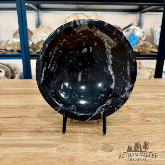 Orthoceras Fossil Bowl 8’’ - Fossil Bowl