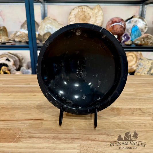 Orthoceras Fossil Bowl 8’’ - Fossil Bowl
