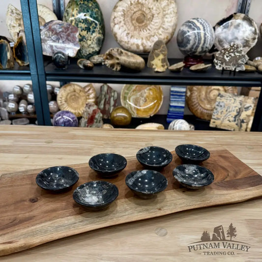 Orthoceras Fossil Bowls 2.85’’ | Morocco - Fossil Bowl
