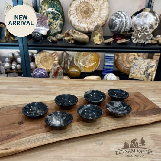 Orthoceras Fossil Bowls 2.85’’ | Morocco - Fossil Bowl