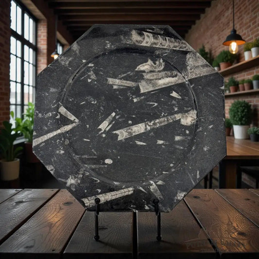 Orthoceras Fossil Octagon Plate Fossil Plate