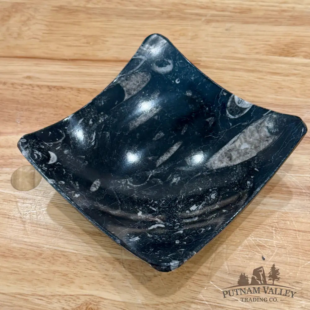 Orthoceras Fossil Raised Corner Dish 4.75’’ - Fossil Plate
