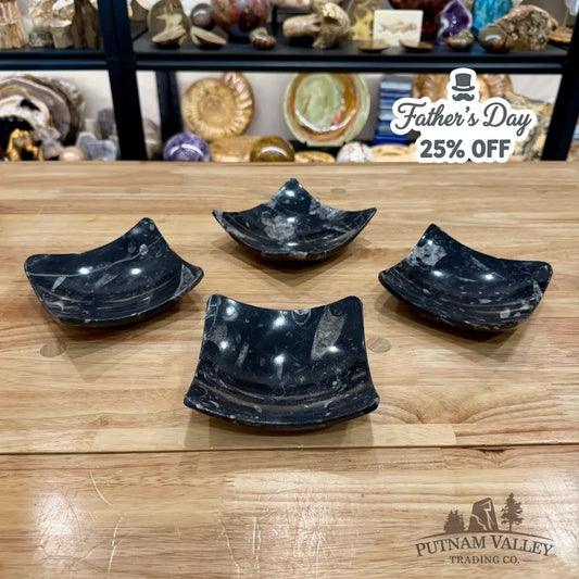 Orthoceras Fossil Raised Corner Dish 4.75’’ - Fossil Plate