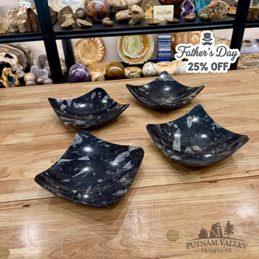 Orthoceras Fossil Raised Corner Dish 6.25’’ - Fossil Plate