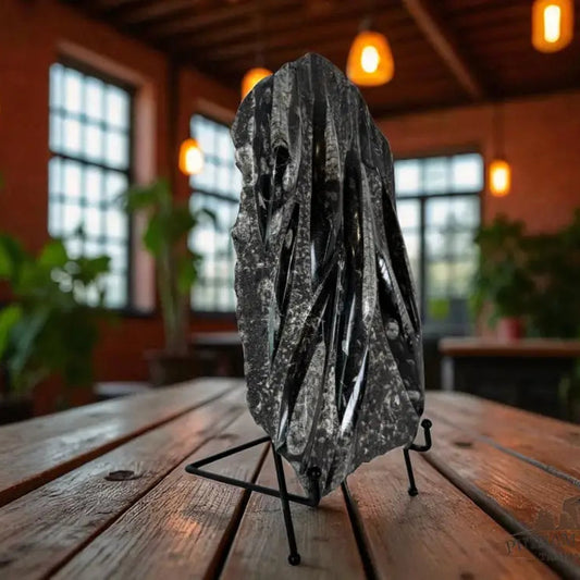 Orthoceras Fossil Slab Fossil Slab