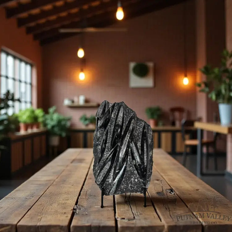 Orthoceras Fossil Slab Fossil Slab