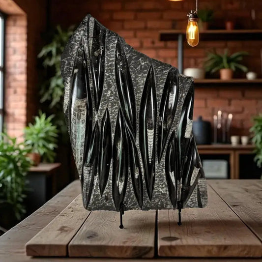 Orthoceras Fossil Slab Fossil Slab