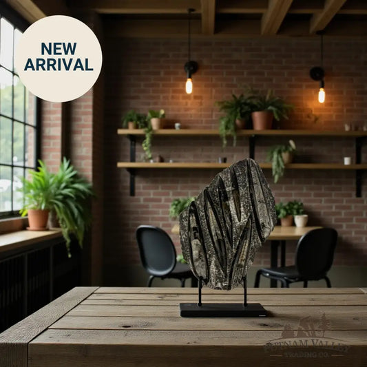 Orthoceras Fossil Slab Fossil Slab